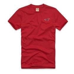 Camiseta Hollister 005
