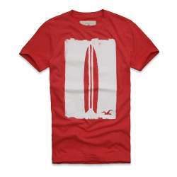 Camiseta Hollister 002