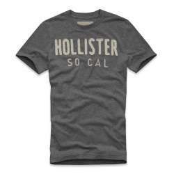 Camiseta Hollister 008