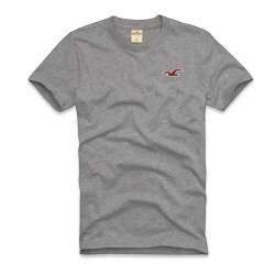 Camiseta Hollister 004