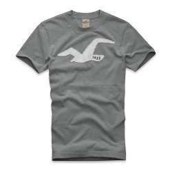 Camiseta Hollister 007