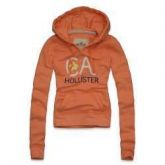 Moletom Feminino Hollister 004